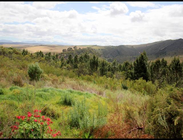69HA FARM FOR SALE IN BOT RIVER